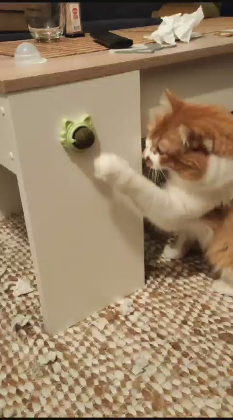 Bola de Catnip Giratoria
