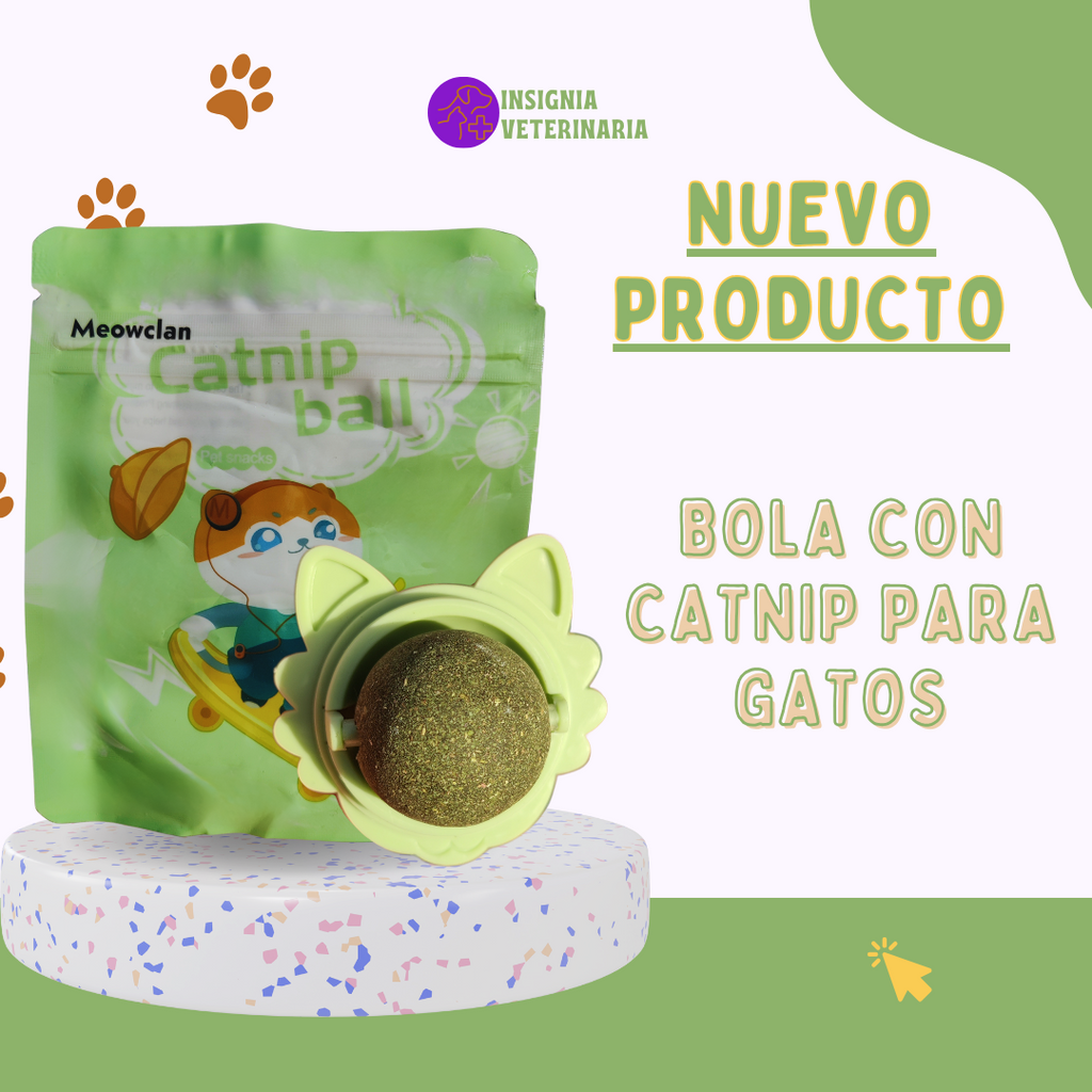 Bola de Catnip Giratoria