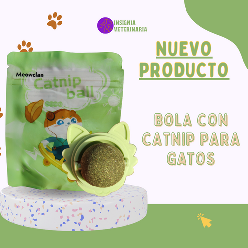 Bola de Catnip Giratoria
