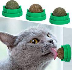 Bola de Catnip Giratoria